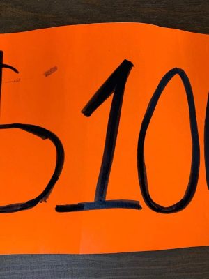 9110. Oferta $100