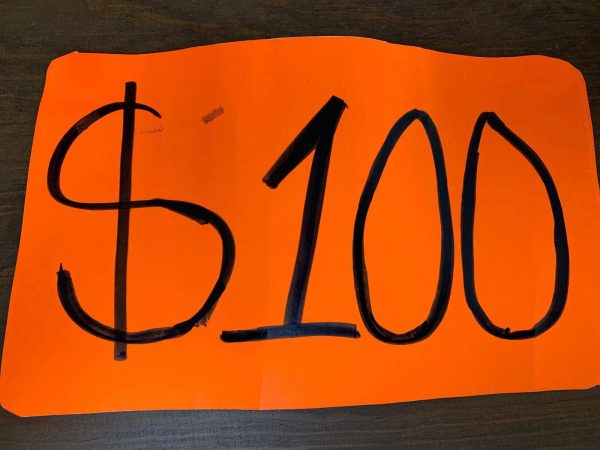 9110. Oferta $100