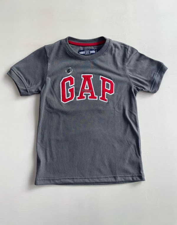 13031. Camiseta GAP color gris