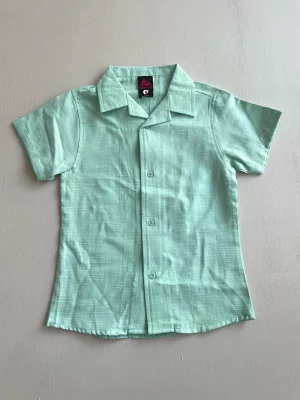 13044. Camisa lisa en verde claro